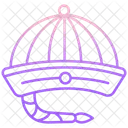 Chinesen New Year Hat  Icon