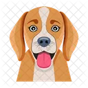Chiot  Icône