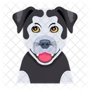 Chiot  Icône