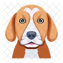 Chiot  Icône