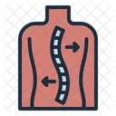 Chiropractic Spine Osteopathy Icon