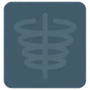 Chiropractic Anatomical Rib Cage Icon