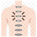 Chiropraktik  Symbol