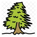 Chirstmas Tree Tree Green Icon