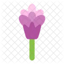 Floral Flower Blossom Icon