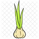 Chive Onion  Icon