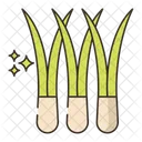 Chives Food Healthy Icon