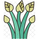 Chives Spring Onion Icon