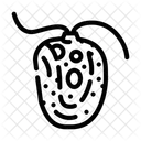 Chlamydomonas  Icon