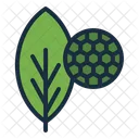 엽록소 잎 식물 아이콘