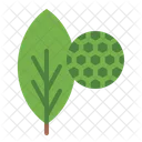 Chlorophyll Leaves Plant Icon