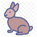 Lapin Lapin Paques Icône