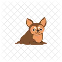 Chocolate Chihuahua Dog Animal Icon