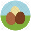 Chocolate Easter Eggs Icon