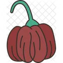 Chocolate Pepper  Icon