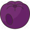 Chokeberry  Icon