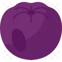 Chokeberry  Icon