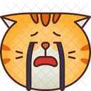 Chorar Emoticon Gato Ícone