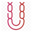 Chorizo Butcher Meat Icon