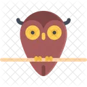 Hibou Icône