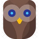 Hibou  Icône