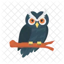 Hibou Oiseau Halloween Icon