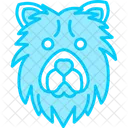 Chow chow  Icon