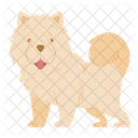 Chow Chow Dog Puppy Icon