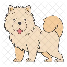 Chow chow  Ícone