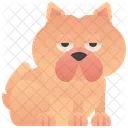 Chow-chow  Ícone