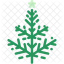 Christmas Holiday Tree Icon