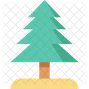 Christmas Tree Evergreen Icon