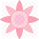 Christmas Flower Nature Icon