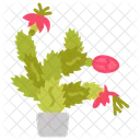 Christmas Cactus Christmas Flower Iron Tree Icon