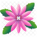 Cactus Flower Nature Plant Icon