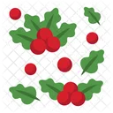 Christmas Cherry Leaf  Icon