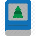 Christmas Decoration  Icon