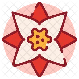 Christmas Flower  Icon