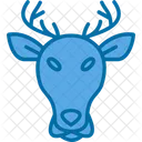 Christmas  Icon