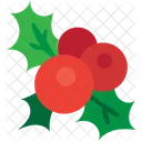 Christmas Mistletoe  Icon
