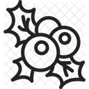 Christmas Mistletoe  Icon