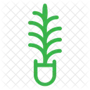 Christmas Plant  Icon