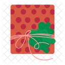 Gift Package Box Icon