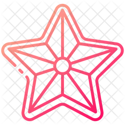 Christmas star  Icon