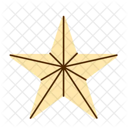 Christmas Star  Icon