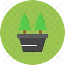 Christmas Tree Winter Pine Icon