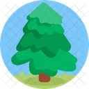 Christmas Tree Botanical Ecology Icon