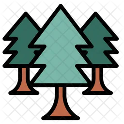 Christmas Tree  Icon