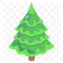 Spruce Christmas Tree Fir Tree Icon