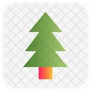Christmas Tree Pine Tree Christmas Icon